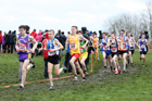 Junior boys 2019 New Balance English Schools Cross Country Champs, Temple Newsam, Leeds. Photo:  David T. Hewitson/Sports for All Pics